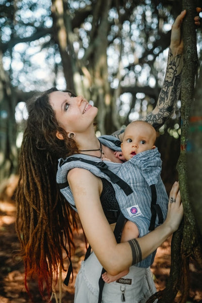 Soft Structured Carriers